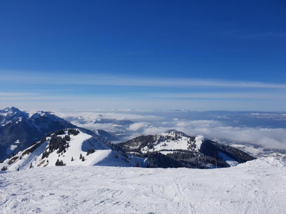 Le 67,Ski Et Randonnee,Lave Linge,Seche Linge,Parking Бернекс Экстерьер фото