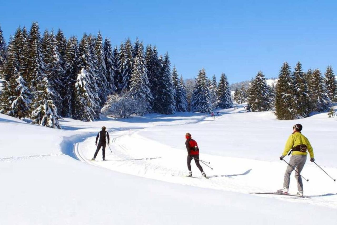 Le 67,Ski Et Randonnee,Lave Linge,Seche Linge,Parking Бернекс Экстерьер фото