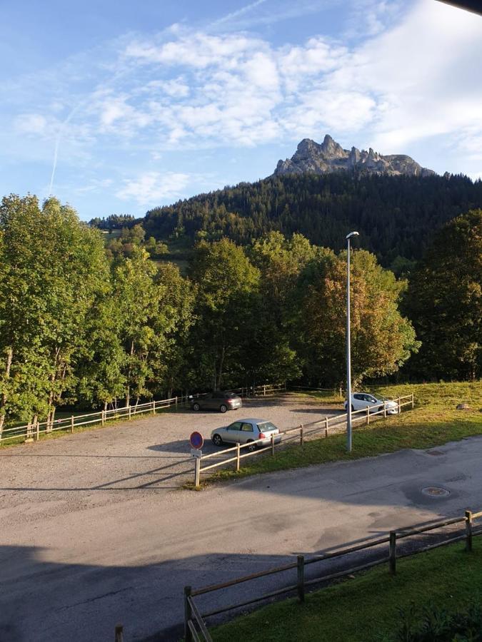 Le 67,Ski Et Randonnee,Lave Linge,Seche Linge,Parking Бернекс Экстерьер фото